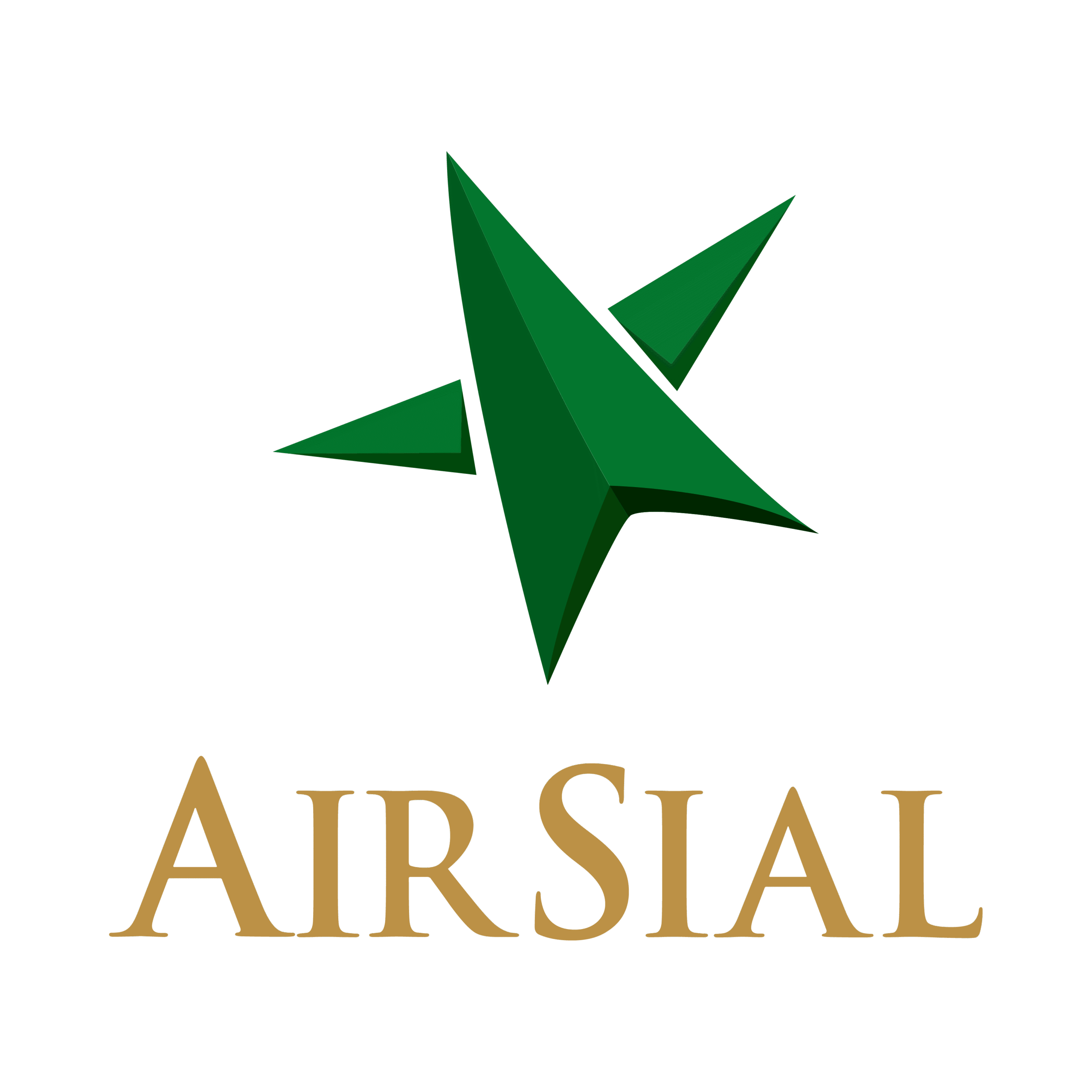 Airlines Logo 11 scaled